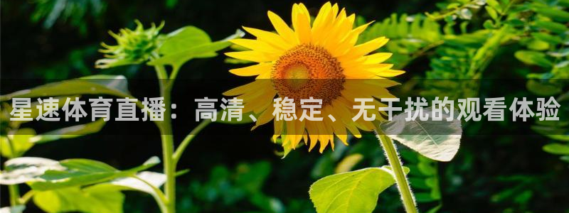 星速体育直播：高清、稳定、无干扰的观看体验