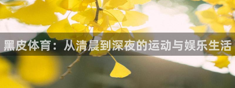 黑皮体育：从清晨到深夜的运动与娱乐生活