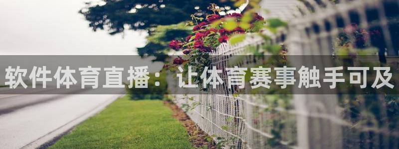 软件体育直播：让体育赛事触手可及