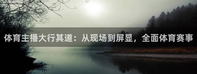 体育主播大行其道：从现场到屏显，全面体育赛事