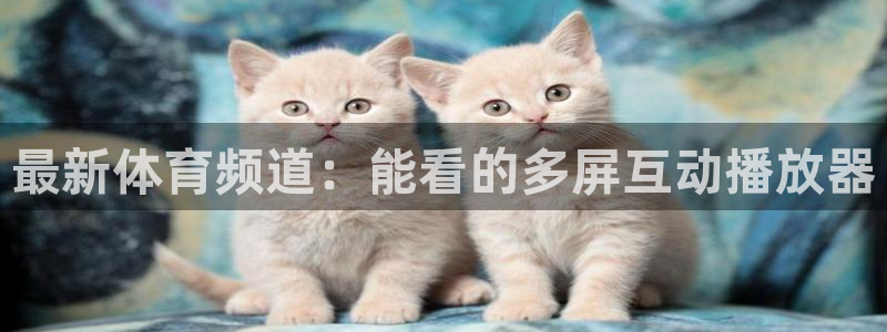 最新体育频道：能看的多屏互动播放器