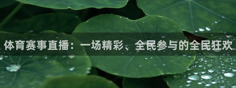 体育赛事直播：一场精彩、全民参与的全民狂欢