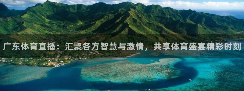 广东体育直播：汇聚各方智慧与激情，共享体育盛宴精彩时刻