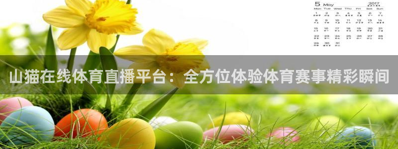 山猫在线体育直播平台：全方位体验体育赛事精彩瞬间