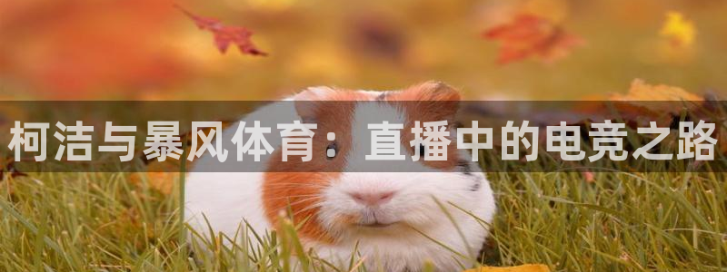 柯洁与暴风体育：直播中的电竞之路