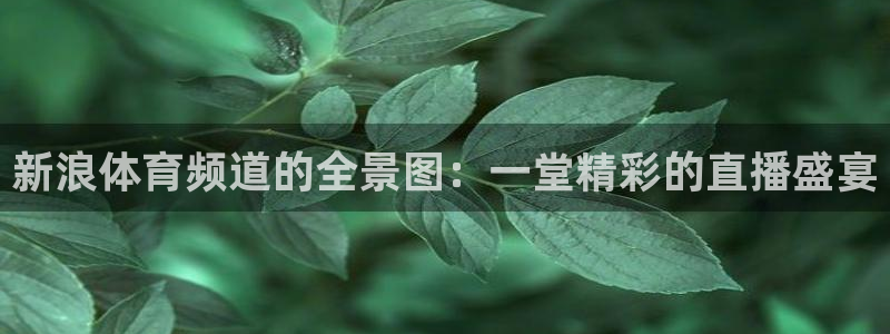 新浪体育频道的全景图：一堂精彩的直播盛宴