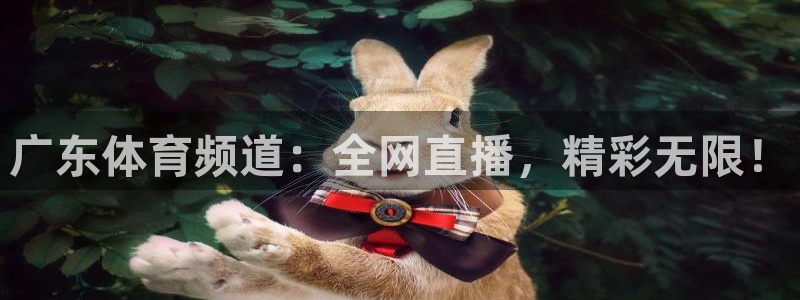 广东体育频道：全网直播，精彩无限！