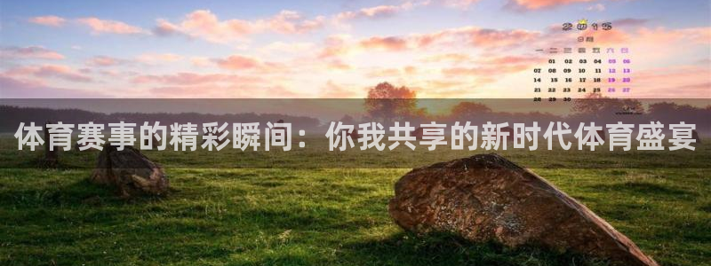 体育赛事的精彩瞬间：你我共享的新时代体育盛宴
